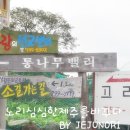 통나무밸리 이미지
