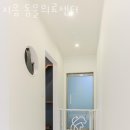 지음동물의료센터 | 성남 금광동 동물병원 지음 동물의료센터 진료시간 접근성 이용후기