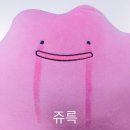 차올라