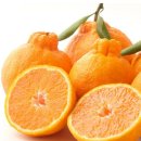 이즈스포츠클럽 이미지