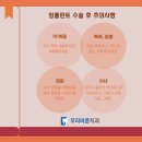 강서구 치과 추천 치아 빠짐 어금니 임플란트 수술 후기 (+사랑니 발치)