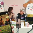 커머스엘 이미지