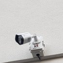 에스디(SD)동물영상센터,서울 | (왕초보 필독) 실패 없는 국산홈캠추천 A to Z (구매 가이드 3가지)