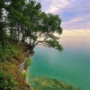 한국복지사이버대학교 이미지