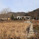 강촌포도펜션&오토캠핑장 티스토리