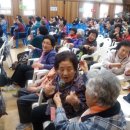 늘푸른노인대학 이미지