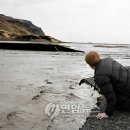 홍수농장 이미지