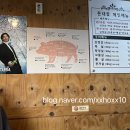 돈내꽃