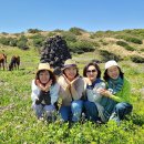 (주)제주미니버스투어서비스 | 편하게 즐긴 2박 3일 제주 여행 제주도 미니버스 대절 기사포함 후기