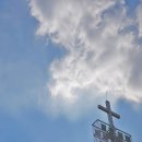 무궁화식당 이미지