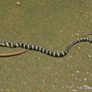(주)알파컴바인드 이미지