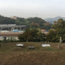 유석 선생 묘 및 신도비 네이버블로그