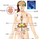 ☎♥몸은 생각과 마음으로 움직이고 수명을 결정한다.♥☎ 이미지