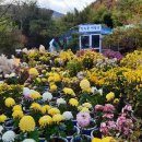 전원생활촌 이미지