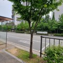 해들마을 버스정류장 이미지