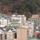 남초탕 이미지