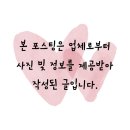 티스테이션 - 해운대구 해운대로 749 | 죽전 타이어 당일 가능 한국타이어 티스테이션 죽전점 후기