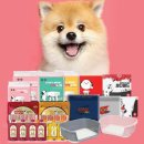 (주)페슬러 이미지