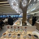 [신규오픈]명지 신상 샤브샤브 맛집 샤브올데이 내돈내산 방문후기!할인정보!