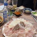 UR(제주시)-[일주동로]-하-19 | 제주 동쪽 소노캄 근처 횟집, 흑돼지, 보말칼국수, 카페, 딱새우 맛집 모음: 산물통 회, 돈수르, 국수앤...