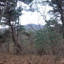 청계산로A Daum카페