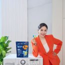 라이온 이미지