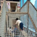 명진에너지 | 서대문자연사박물관 예약없이 공룡 보러 아기랑 다녀온 주차 꿀팁