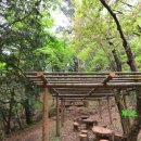 벌교여중앞 이미지