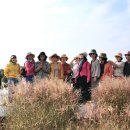 하늘공원 이미지