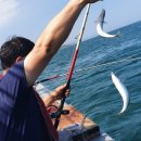 양포슈퍼 이미지