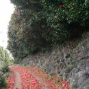 올레하우스 이미지