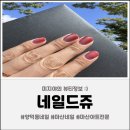 양덕동202 | 양덕동 네일 아트전문 네일아트 [네일드쥬] 영롱한 자석네일 후기