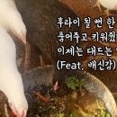 둥지마트 이미지