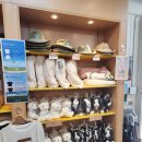 매형목장 | 평창 가볼만한 곳 추천 대관령 삼양라운드힐 후기!!