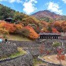 삼성궁주차장 이미지