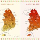 오색카써비스 이미지