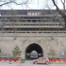 죽음도 갈라놓지 못한 사랑 이미지