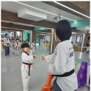 태아일체태권도센터 태권도장 | 방배동태권도 부모도 감동한 다온태권도의 특별한 경험