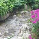 허영근약국 이미지