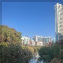 마포구요양병원 일산암요양병원 선택시 고려해야할 사항