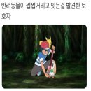 데일리김밥 이미지