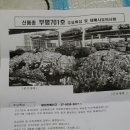 부평종균사 | 부평701호 느타리버섯 품종