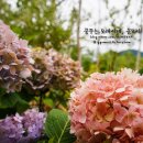 이디야춘천소양강점 이미지