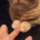 이마트24 화곡소망 | [대구 만촌동 카페] 작업하기 좋은 카페 사운즈커피 만촌메트로팔레스점 후기