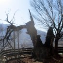 복지회관 앞 이미지