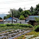 목신1리 이미지