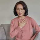 SN자동차병원 이미지