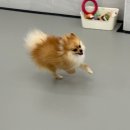 라이크몽 이미지