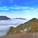 도락산 이미지