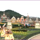 포시즌 봄 이미지